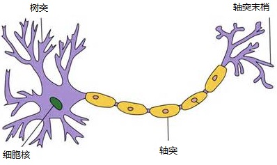 图片描述